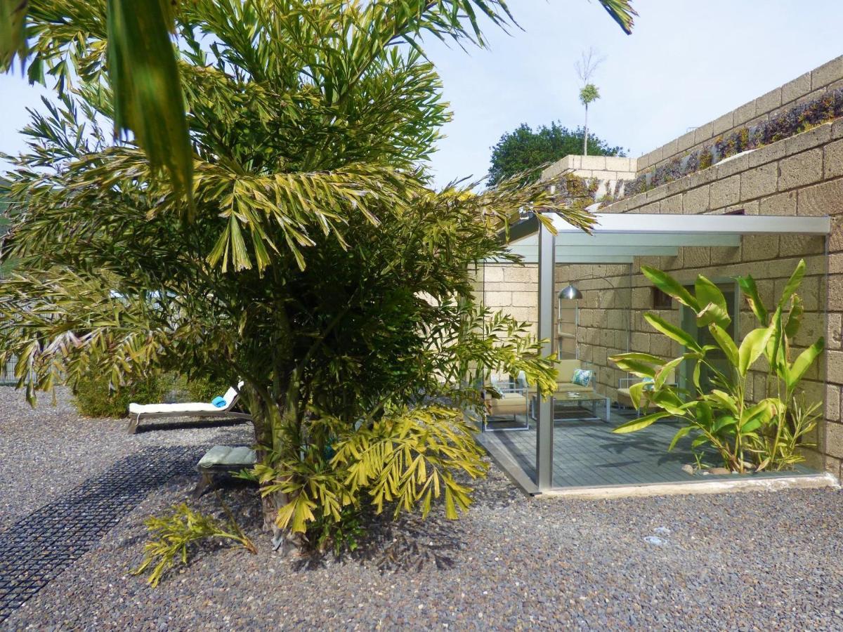 Eco Suites Caves La Laguna  Exteriér fotografie