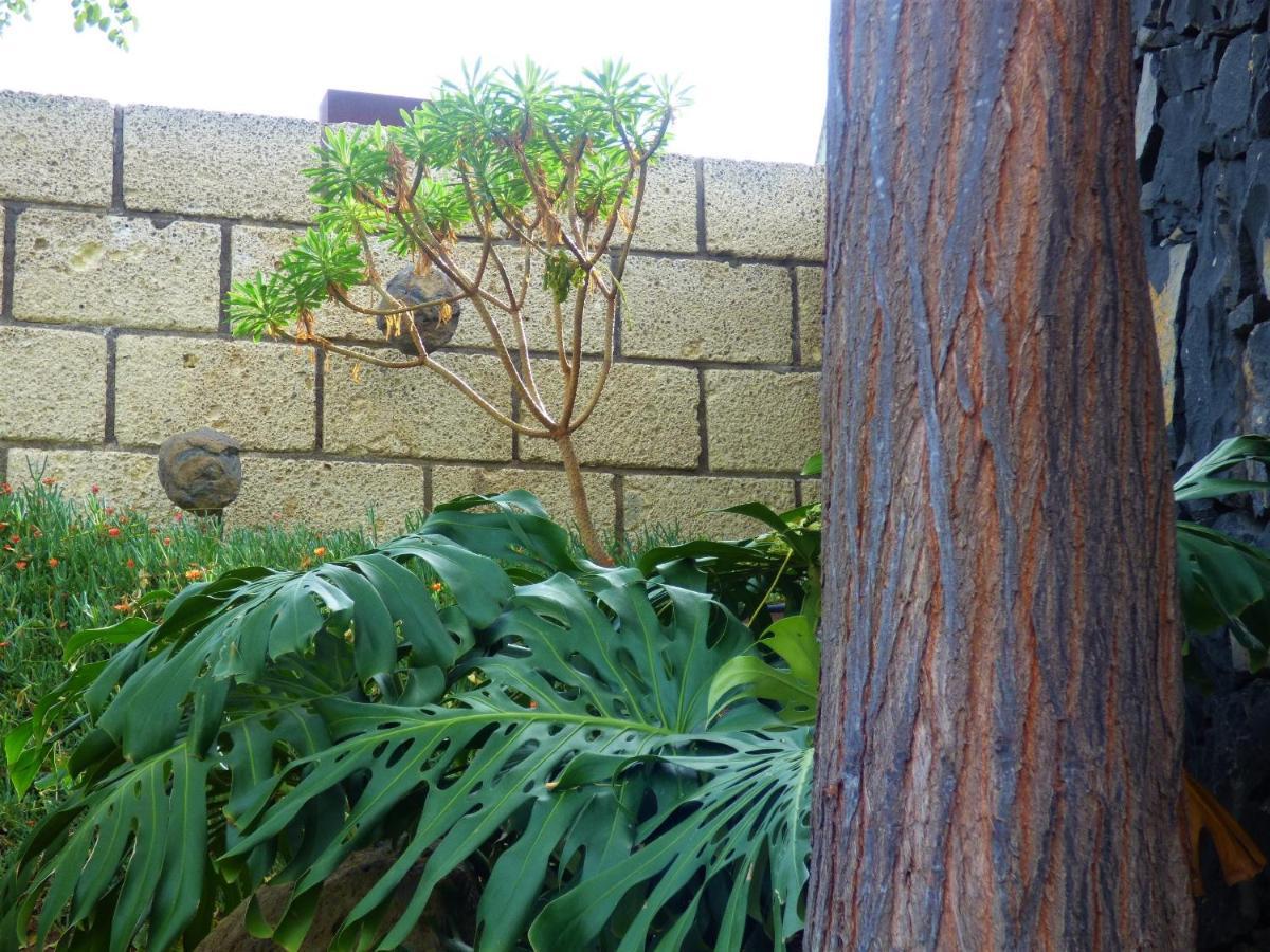 Eco Suites Caves La Laguna  Exteriér fotografie
